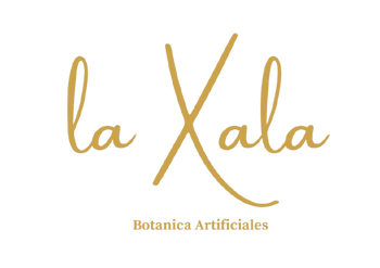 La Xala
