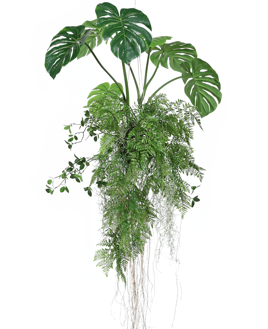monstera deliciosa colgante Planta colgante artificial Monstera/Helecho bola 100 cm XL – La Xala